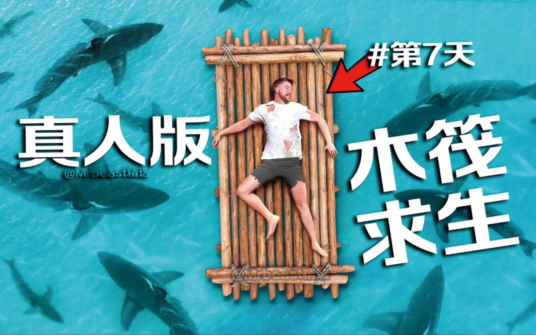 【MrBeast官方】7天挑战木筏求生你能坚持多久?RAFT整活