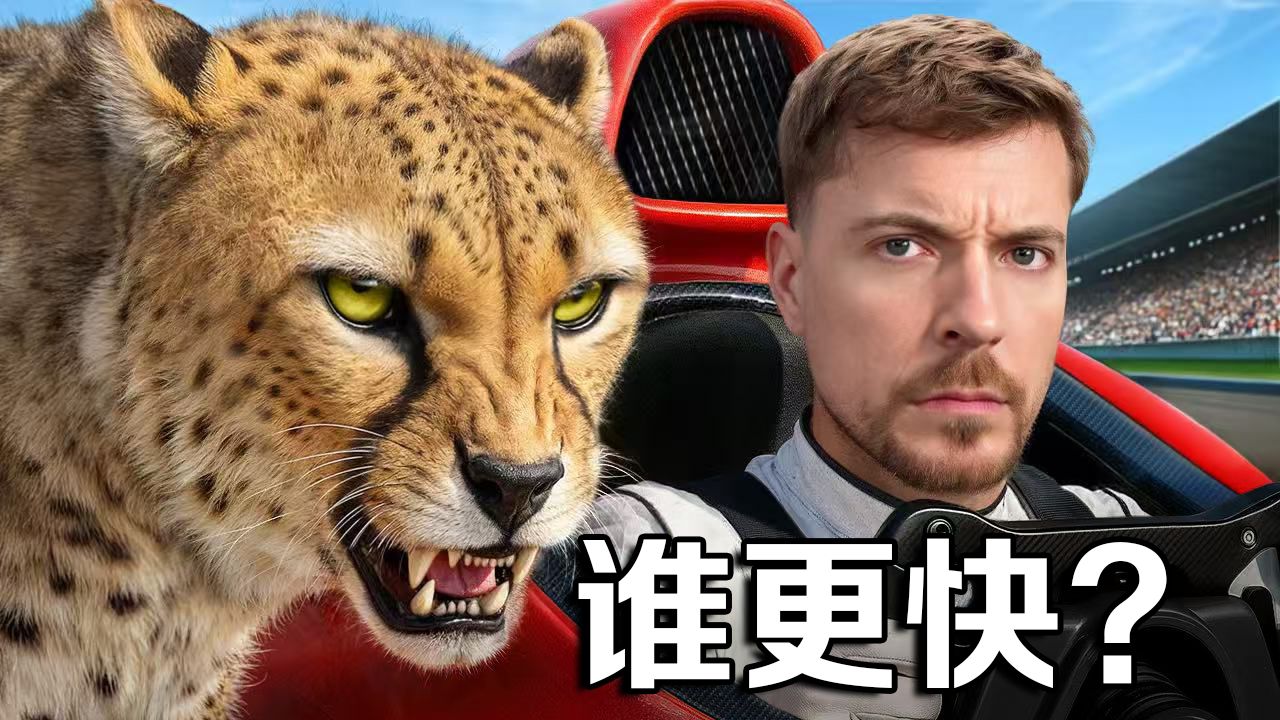 【MrBeast首发】谁更快？猎豹还是我?! p01 【MrBeast首发】谁更快？猎豹还是我?! (P1)