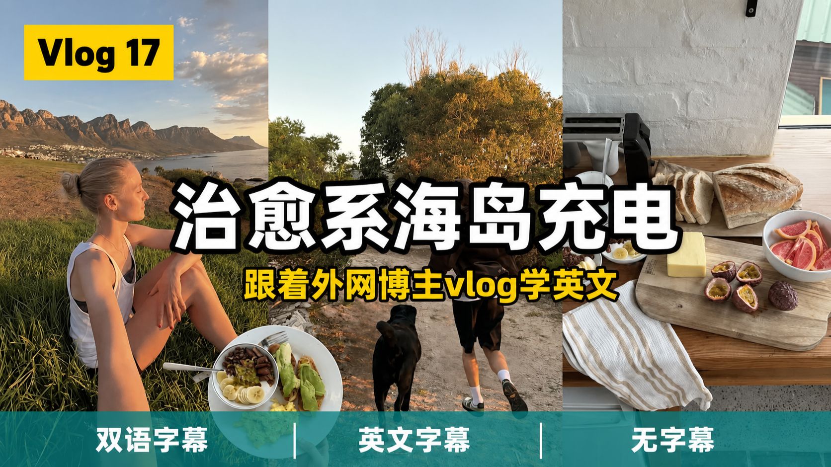 【全英Vlog】Vol.17|原声磨耳,在真实语境中自然学英语:海滩偶遇野生企鹅?初学者英语思维训练 p01 双语字幕版 (P1)