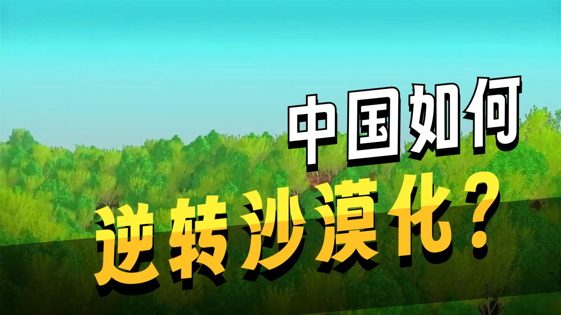 【20集全】行走中国系列英语学习视频！了解祖国大地上的文化遗产、自然风光、风土人情、建设成就~绝佳情景英语学习材 p03 2. 2：冰雪文化 (P3)