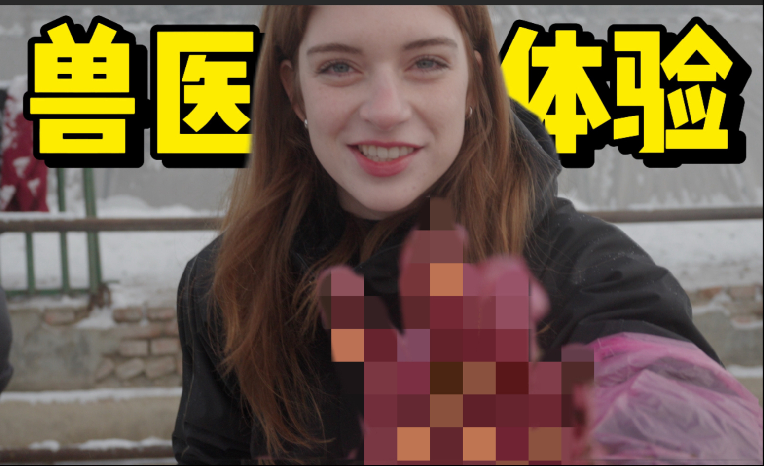 和龙兽医难忘的48小时!美国医学生在东北学兽医