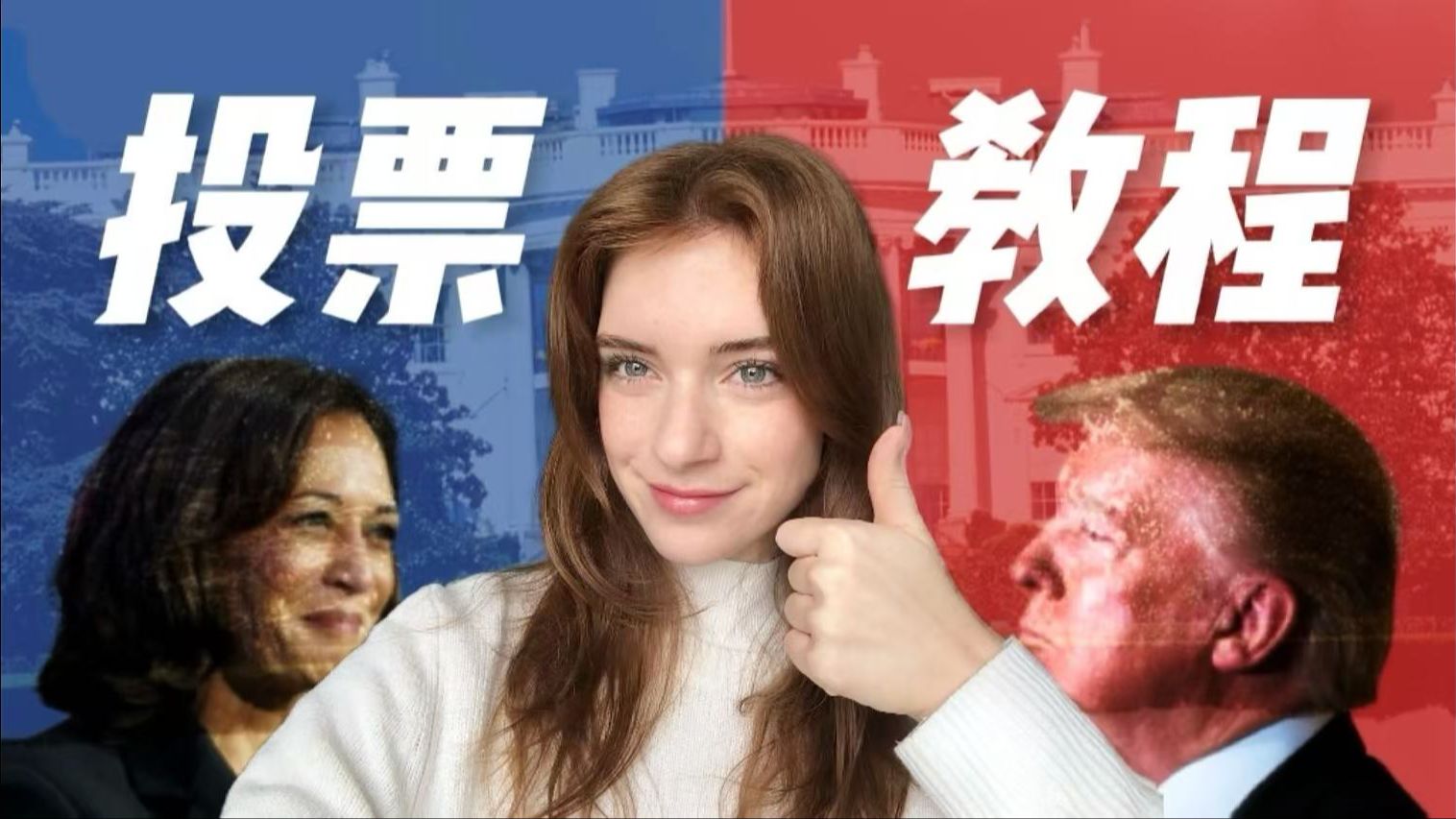 美国人教你怎么给你喜欢的总统投票