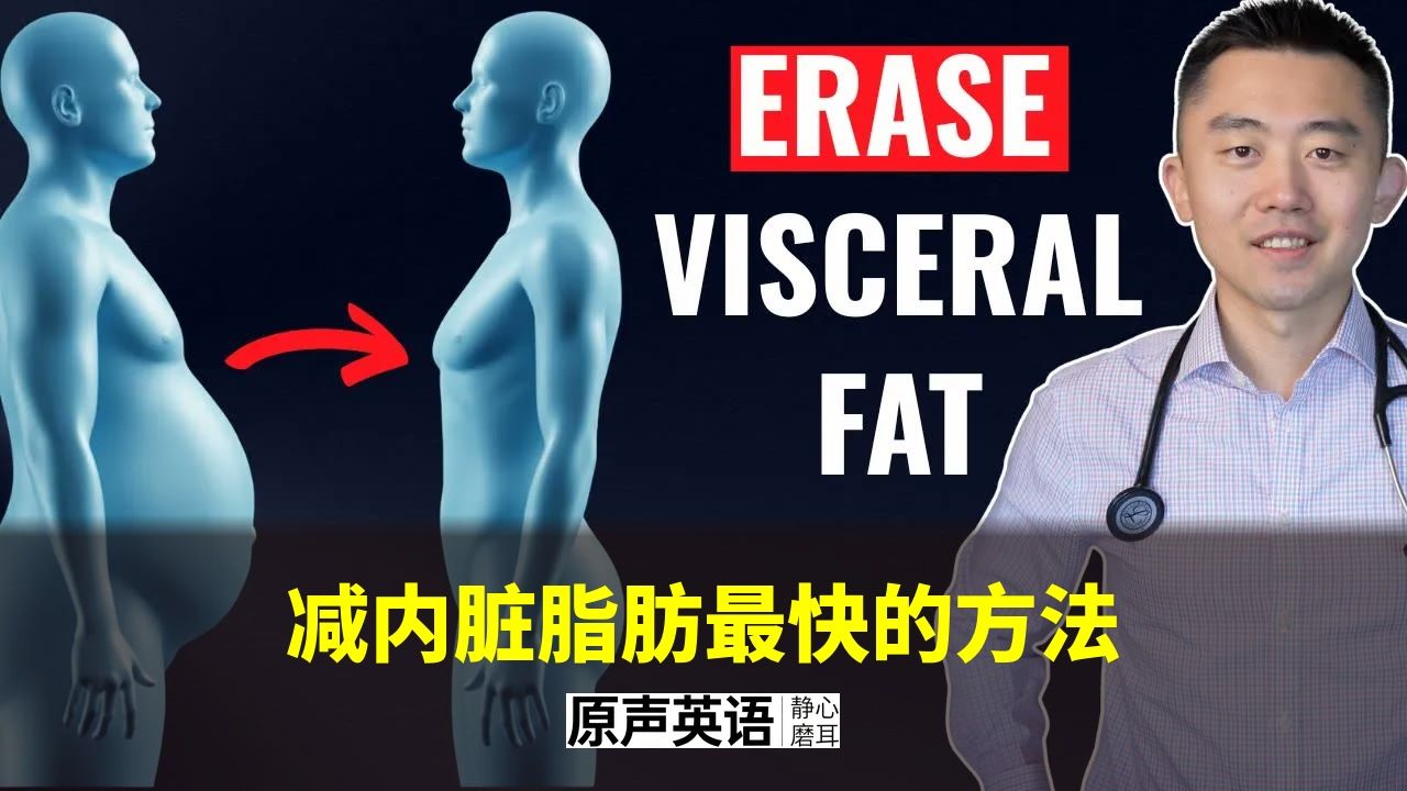 【健康科普】减内脏脂肪最快的方法 · 医生教你科学减脂 p01 中英字幕 (P1)