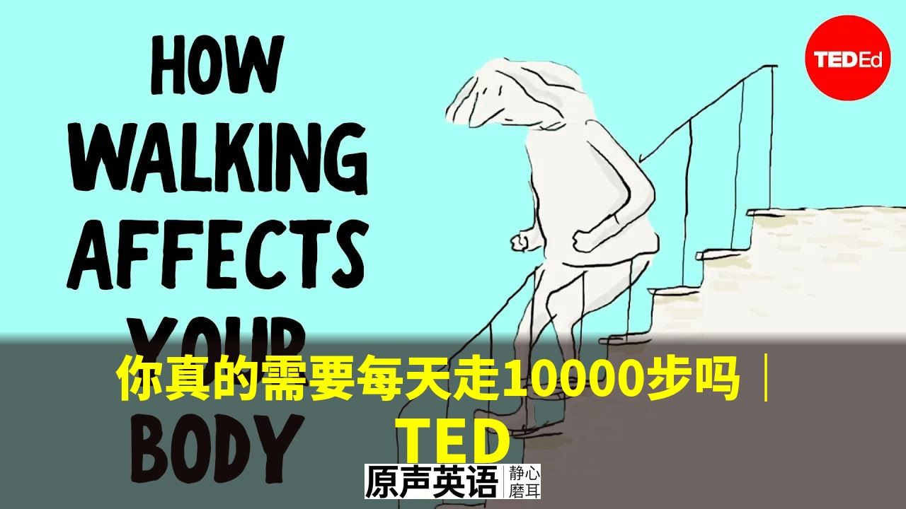 【TED科普】你真的需要每天走10000步吗 · 步数神话的真相 p01 中英字幕 (P1)