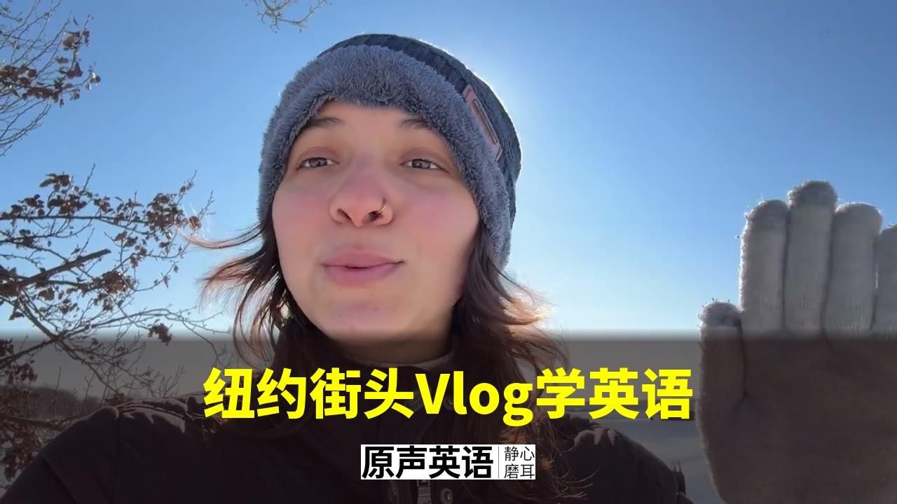 【慢速英语】纽约街头漫步学英语 · 自然对话与现在完成时