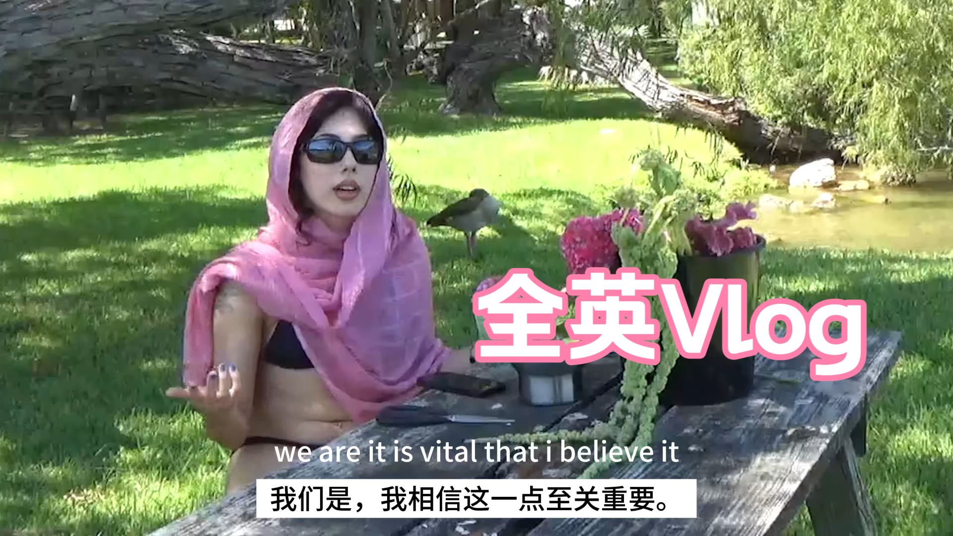 【全英 Vlog 5】letting go of your victim mentality｜放下受害者心态，是夺回人生主动权的第一步 p01 letting go of your victim mentality 双语 (P1)