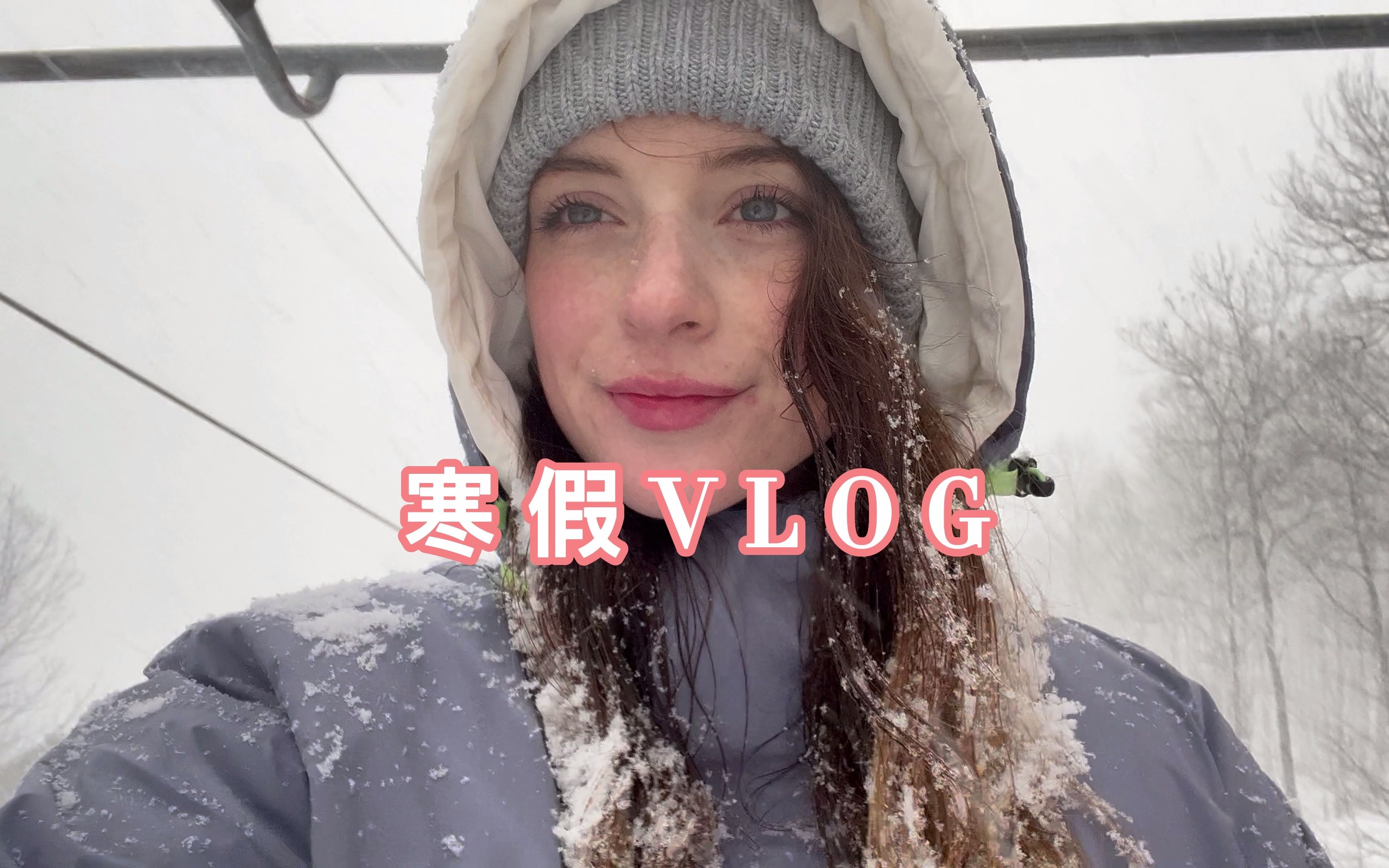波士顿的中国饭好好吃 天好冷+Q&A问答准备 哈佛大学寒假vlog